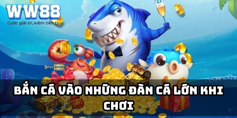 Bắn cá vào những đàn cá lớn khi chơi