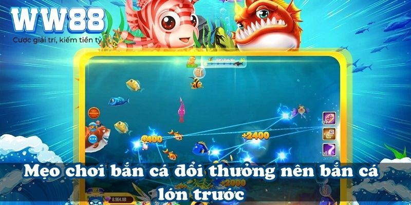 Mẹo chơi bắn cá đổi thưởng nên bắn cá lớn trước