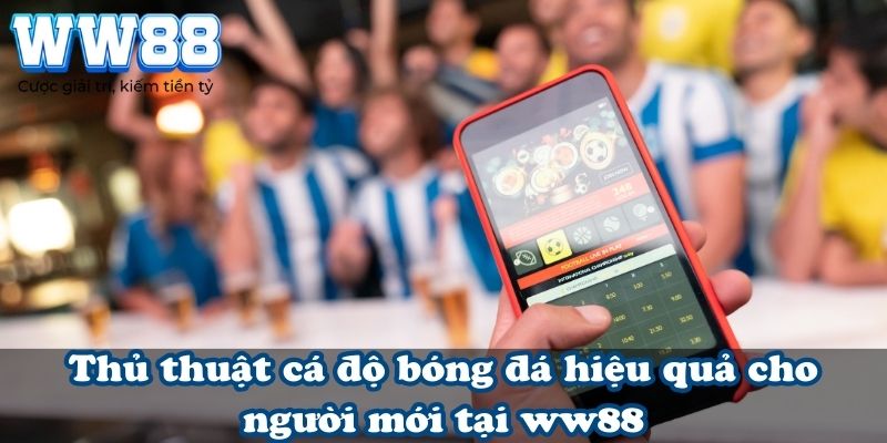 Thủ thuật cá độ bóng đá hiệu quả cho người mới tại WW88