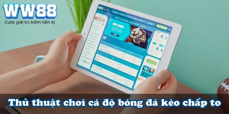 Thủ thuật chơi cá độ bóng đá kèo chấp to