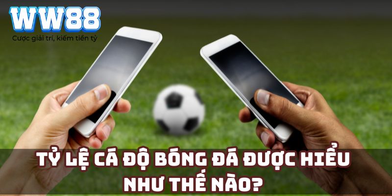 Tỷ lệ cá độ bóng đá được hiểu như thế nào?