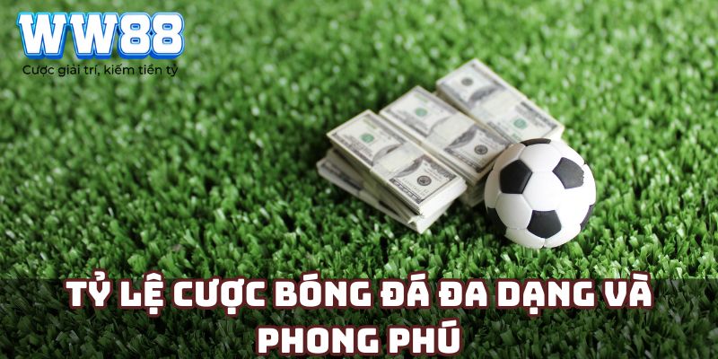 Tỷ lệ cược bóng đá đa dạng và phong phú